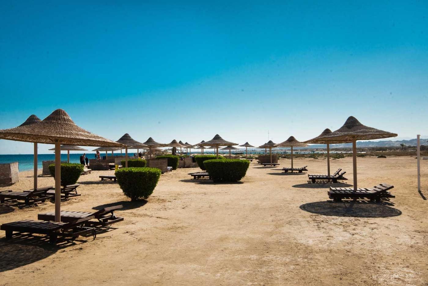 Shams Alam Beach Resort Abū Ghuşūn Zewnętrze zdjęcie